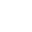 Team Rvz